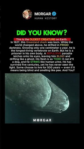 This is the OLDEST CREATURE on Earth #history #facts
