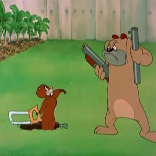 Great Cartoons | Magic Cartoons