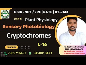 Cryptochrome | Structure, Signaling & Responses | Plant Physiology #genesis_institute