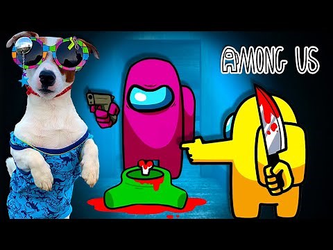 Funny moments in Among Us 😱 AMONG US with Loki Bobo