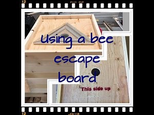 (Bees Plus)Bee escape board