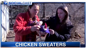 24K views · 68 reactions | ABC 7 Chicago on Reels | Facebook