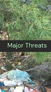 What we know about Sustainable Environment #sustainability #environment #protectenvironment