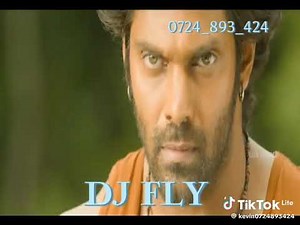 DJ FLY INDIAN MOVIE