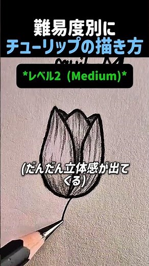 ステップごとのチューリップ絵の描き方 #絵