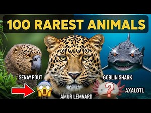 100 Wildest & Rarest Animals in the World | Amazing Wildlife Documentary|ALI_ANIMALLOVER