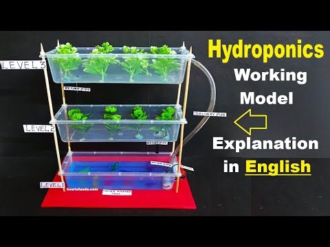 hydroponics working model explanation in english - vertical farming - science project | howtofunda