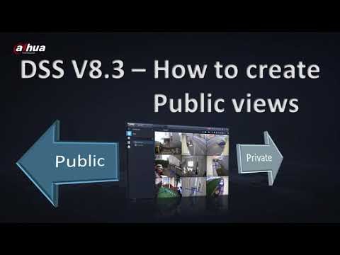 DSS 8.3 - How to create Public views