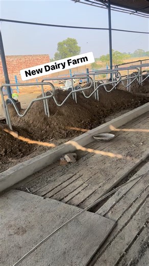 New Dairy Farm | Farmer TV ਫਾਰਮਰ ਟੀਵੀ