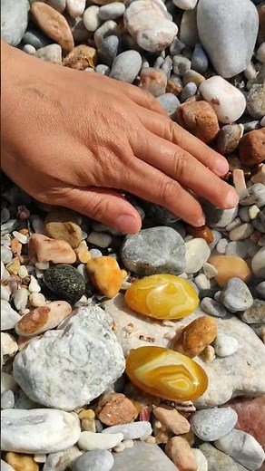 #pearl #seafood #hunting pearls #picking pearls