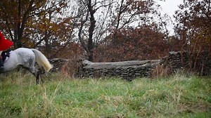 8.5K views · 285 reactions | Short clip from today with Middleburg Hunt | Middleburg Photo | Facebook