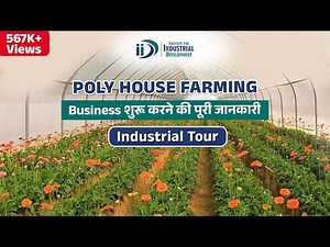 पॉली हाउस की खेती कैसे करें | How To Start Poly House Farming