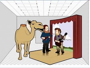 My Geico Camel Commercial