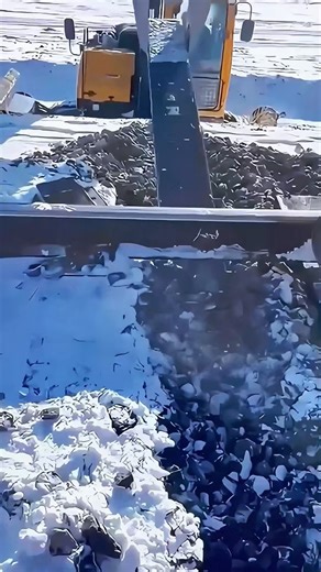 JINGGONG Excavator & Railway on Instagram: "JINGGONG railway sleeper changer is specially designed for extreme cold working conditions,Integrated operation of old sleeper extraction and new sleeper laying, The whole system is formulated with low-temperature hydraulic oil, combined with power preheating and core component insulation kits, and the power output is still strong in extreme cold. Integrated operation of old sleeper extraction and new sleeper laying,"