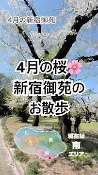 4月の新宿御苑のお散歩ショート #新宿御苑 #ウォーキング #散歩 #東京 #日本 #観光 #shorts #桜