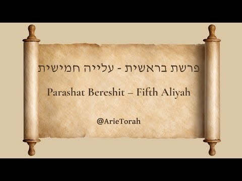 פרשת בראשית - עלייה חמישית | Parashat Bereshit - Fifth Aliyah