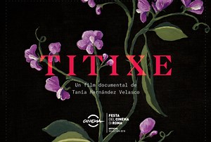 Regresar a las raíces: una entrevista sobre ‘Titixe’ - Gaceta UNAM