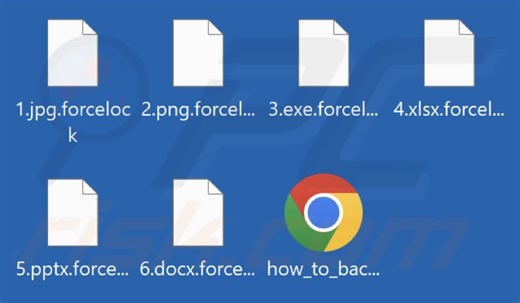 ForceLock Ransomware