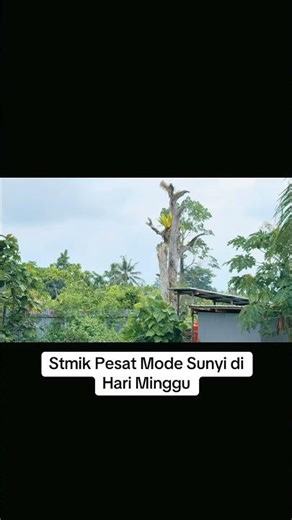 Cuaca extrem Papua Tengah