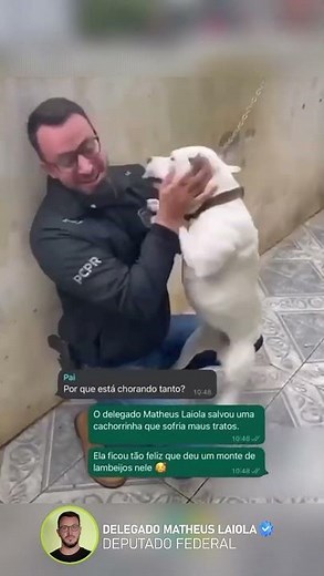 Defendendo o bem-estar dos animais.