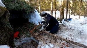 19K reactions · 1K shares | Building a Natural Shelter. No cordage is needed. Full Vid  Ted Baird YouTube https://www.youtube.com/watch?v=vGvY_2wJHKY with Heather Baird Outdoors | Ted Baird Outdoors | Facebook