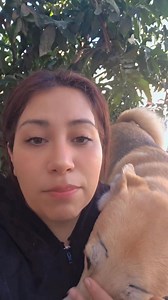 31K views · 3.7K reactions | A qui esta el cejas para los que dicen que no lo ven el esta mejor que el que no lo ve 來 #perrosfelices #humor #viralesシ #pfypシ #viral | Maricruz Gonzalez Diaz | Facebook