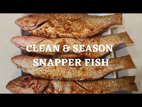 HOW CLEAN YELLOWTAIL/RED SNAPPER FISH BEFORE COOKING OR FRYING/SEASON TOO/THE CARIBBEAN WAY