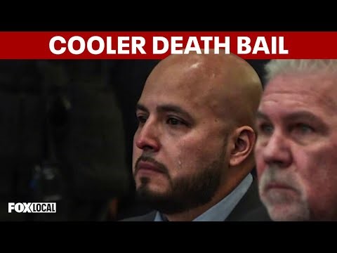 Ex-NYPD officer granted bail after cooler throw manslaughter conviction