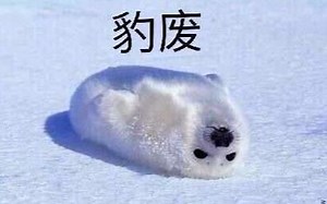 DCS WORLD从入门到入土