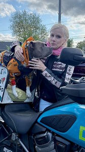 9.7K views · 274 reactions | 10 hours of riding, lots of new places...