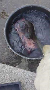 “How to Clean Black Ash Off Copper After the Melt | Shiny Results Revealed!”