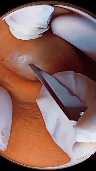 user57247589431 no TikTok