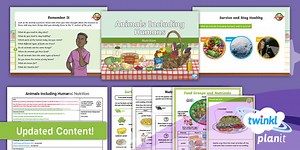 Science: Animals Including Humans: Eating a Balanced Diet Year 3 Lesson 1