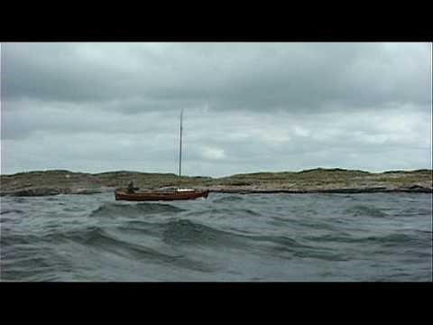 The 400 year old shark - the Greenland shark - the oldest shark in the world still alive