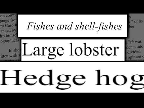 English as She Is Spoke