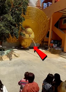 Forklift Fails: Heavy Load, Heavier Regret!🚧 | Darcy Donavan