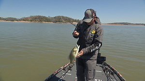 New Round - new lake. The MLF pros are on Cherokee Lake for the Stage Two Knockout Round. Watch live on MajorLeagueFishing.com to see who gets dialed in. United States Air Force // Power-Pole Total Boat Control // Cherokee Lake Tennessee | Major League Fishing