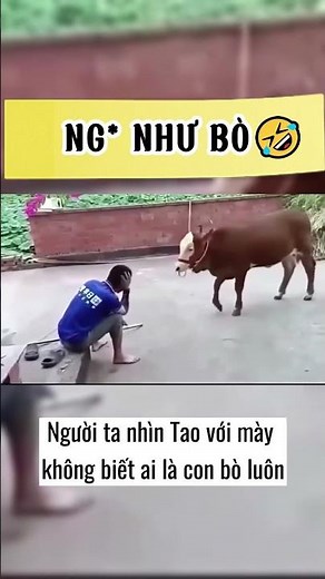 🤣 MÚA NỮA ĐI BRO😤 Lồng tiếng hài hước 2025 #haihuoc #cuoiteghe
