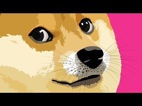 DOGE MEMES