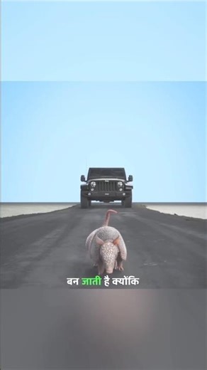 🔥 “Why Some Animals Have Super Hard Shells!”