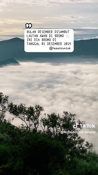 Bromo Hari Ini: Lautan Awan Menakjubkan