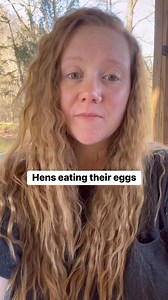 If you’re having issues with your hens eating the own eggs, here are a few options you can try. #eggs #egg #chickens #hens #backyardchickens #poultry #farming #homestead #homesteading | Hannah Easton