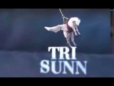 TriStar Pictures 1984 Bloopers (Parody)