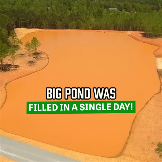 309K views · 1.4K reactions | The Big Pond's Rapid Transformation! | Letsdig18 | Facebook