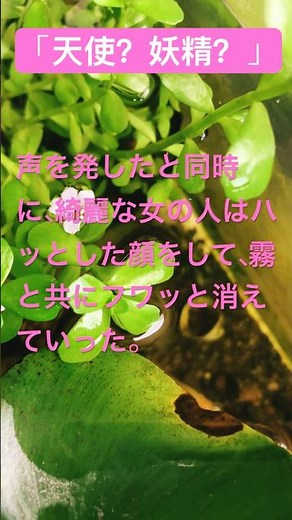 「天使？妖精？」続きはプロフィールの「カクヨム小説」から読めます。#本当にあった怖い話 #本怖#怖くない#体験談 #カクヨム #小説#shorts