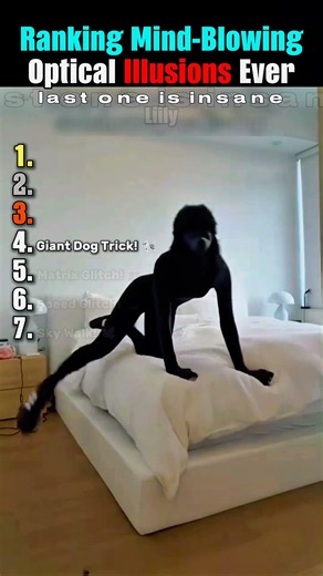 Optical Illusions That Will Trick Your Brain! 🤯