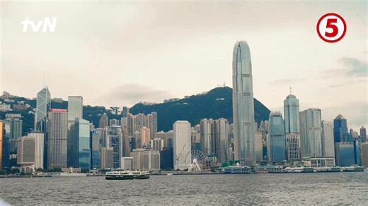 11K views · 51 reactions | First ever Pinoy reality dating show set...