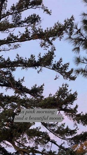 2.2K views · 65 reactions | 360 degrees of inspiration ( full circle) on Reels | Facebook