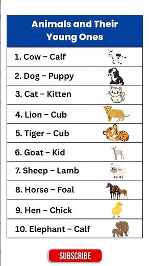Animals and Their Young Ones | List of Animals and Their Babies Name