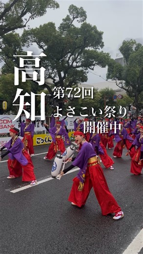 高知市【公式】観光職員がココロ踊る高知の魅力を発信中！ | 第72回よさこい祭り開催中‎💛 あいにくのお天気ですが会場では雨にも負けず、笑顔で迫力ある演舞が披露されています🤩 よさこい祭りは、高知の夏を彩る一大イベント！ 色とりどりの衣装、熱気溢れるパフォーマンスをぜひ会場でご覧下さい👀... | Instagram